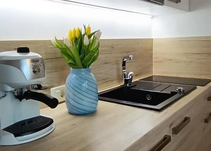 Royal S Privatnim Parkingom * オパティヤ