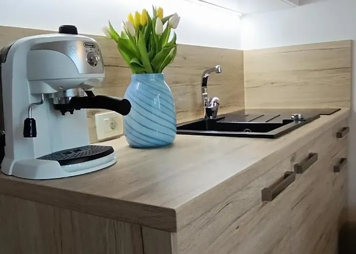 Royal S Privatnim Parkingom