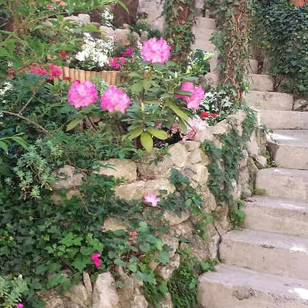 Royal S Privatnim Parkingom *