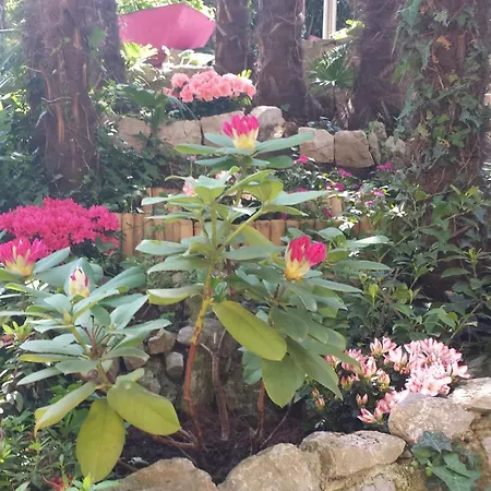 Royal S Privatnim Parkingom * Opatija