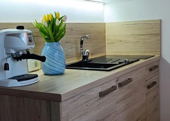 Appartement Royal S Privatnim Parkingom Opatija