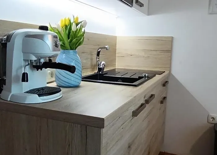 Apartment Royal S Privatnim Parkingom *