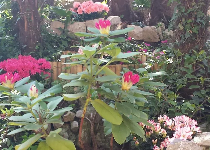 Royal S Privatnim Parkingom * Opatija